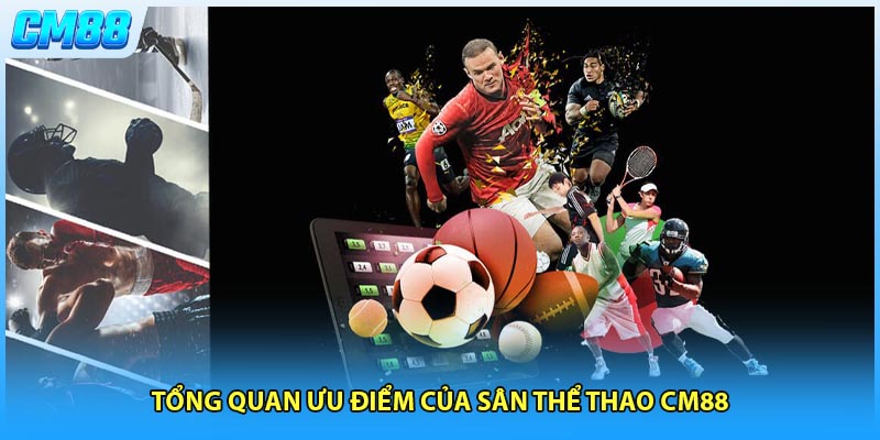 Tổng quan ưu điểm của sân thể thao CM88